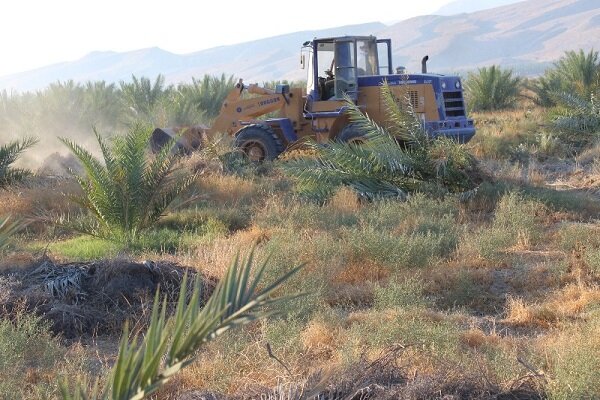 ۶۵ هزار مترمربع از اراضی کشاورزی در کلاردشت آزادسازی شد