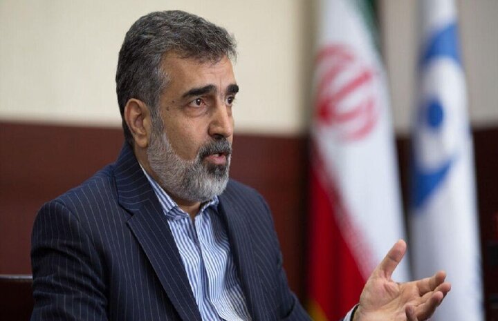 Iran criticizes IAEA chief for peculiar stance on JCPOA talks