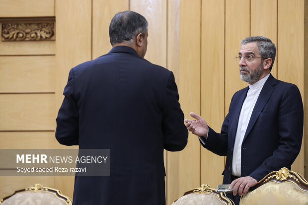 علی باقری معاون سیاسی وزیر امور خارجه در مراسم بدرقه رئیس جمهور در سفر به روسیه حضور دارد