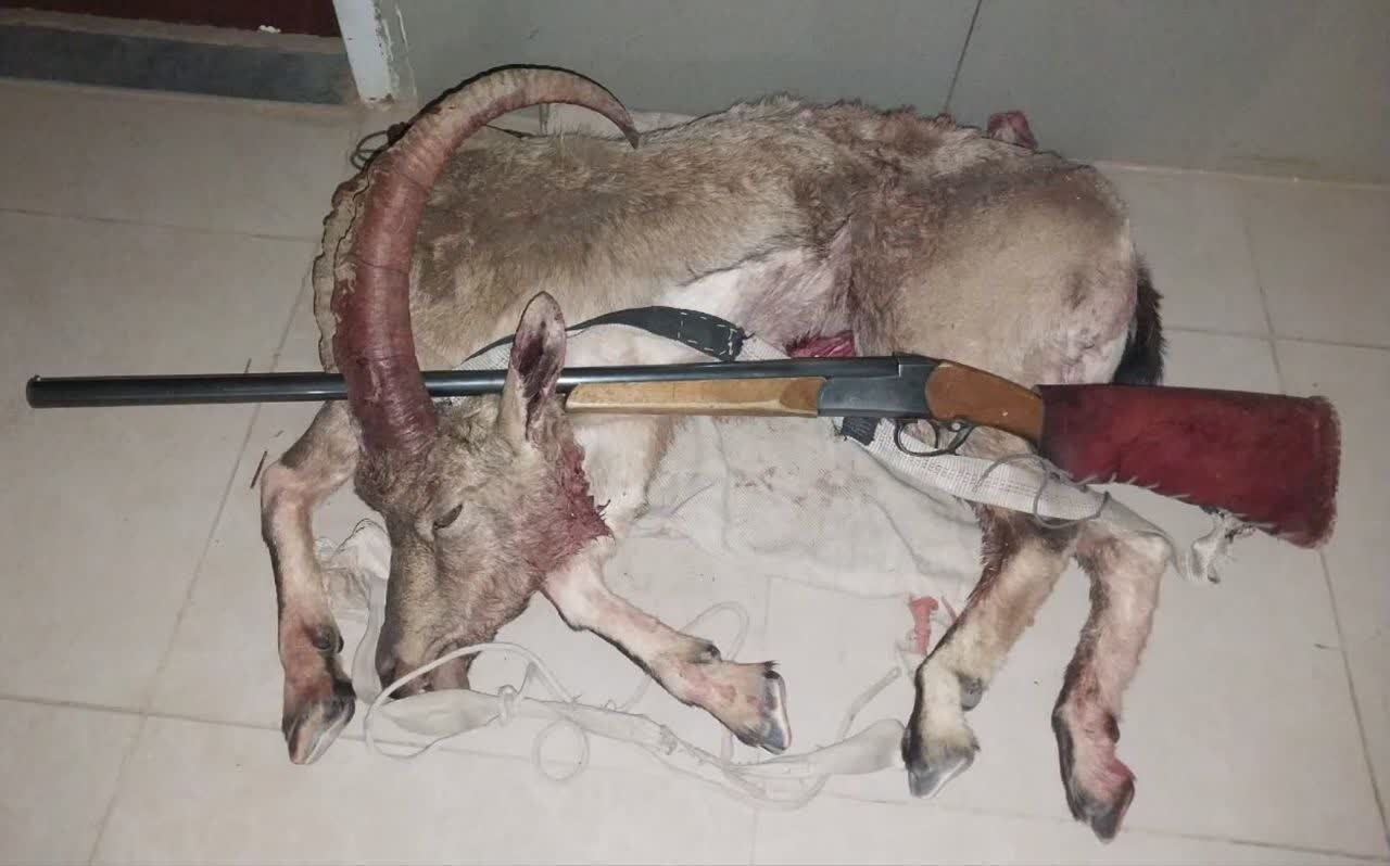 دماوند،قضائي،متهم،دستور،زيست