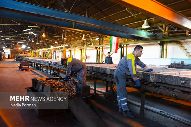 بیش از ۶۰ درصد دانشجویان دانشگاه ملی مهارت قم جذب بازار کار میشوند