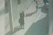 جزئیات جدید زورگیری از دانشجویان خواجه نصیر اعلام شد