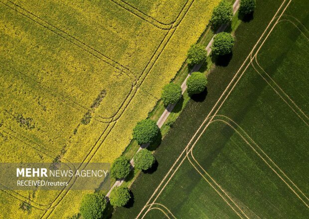 تصاویر برتر هوایی سال گذشته خبرگزاری رویترز