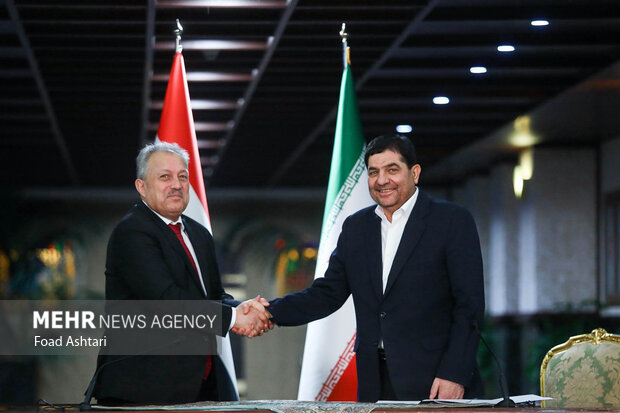 Iran, Syria sign free trade deal: VP