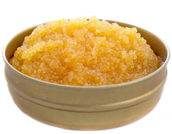 ثبت خاویار طلایی به نام چهارمحال و بختیاری/ صادرات ۲۰۰ تنی محصول