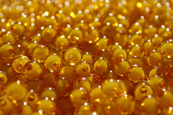 ثبت خاویار طلایی به نام چهارمحال و بختیاری/ صادرات ۲۰۰ تنی محصول