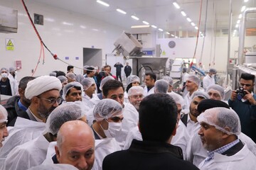 معاون اقتصادی وزیر کشور از واحدهای تولیدی فارس دیدن کرد