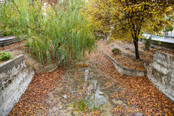 Autumn beauties in Isfahan