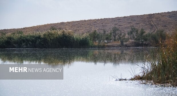 فاضلاب کارخانه اترک دامنگیر آب اصفهان
