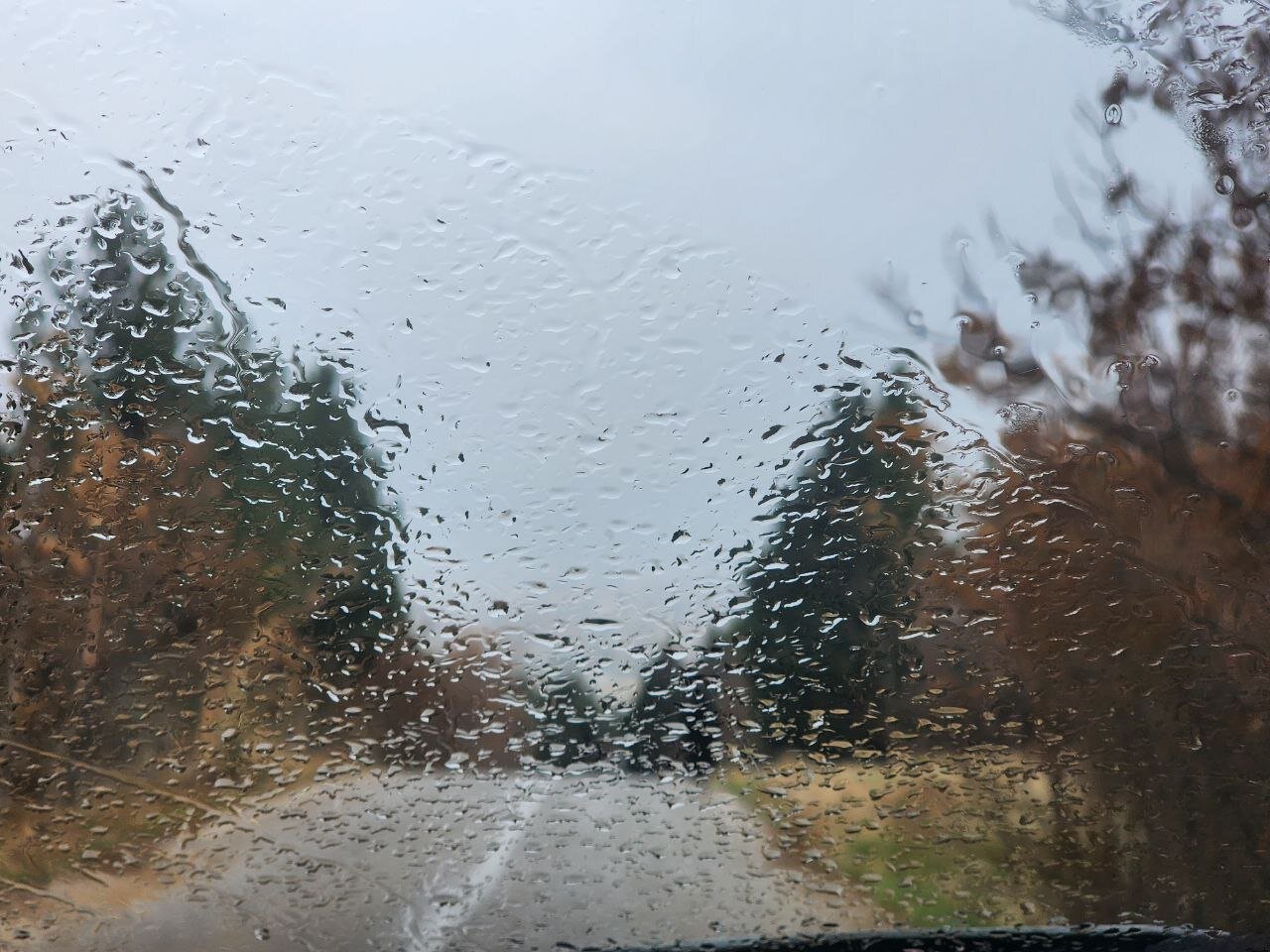 بارش باران در آخرین روزهای پاییز در بجنورد