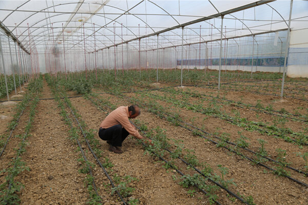سهم خراسان شمالی بیشتر از بقیه/ جبران عقب ماندگیها با ۱۸۰ مصوبه