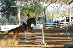 پنجمین رویداد پرش با اسب جام اسب ترکمن