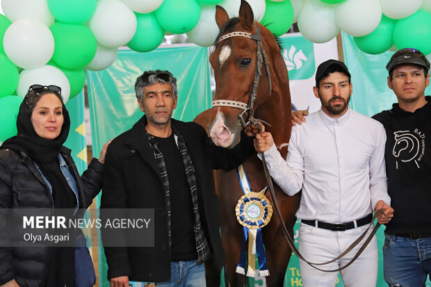 پنجمین رویداد پرش با اسب جام اسب ترکمن