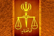 پروین موسوی به جرم حمل مرفین مجازات شد/اینترنشنال محکوم مواد مخدر را فعال سیاسی جا زد