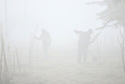 هشدار سطح نارنجی هواشناسی خوزستان؛ کاهش دید در محورهای جنوبی و ساحلی