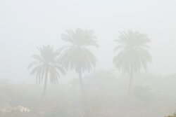 A foggy day in southwestern Iran