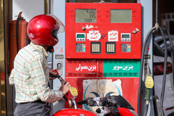 وضعیت جایگاه‌های سوخت فعال یزد