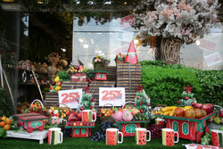 Mashhad's flower market as Yalda night approaches