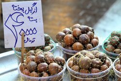 طرح نظارت بر بازار شب یلدا در زنجان اجرا می‌شود