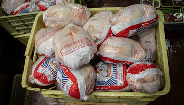 توزیع ۶۵ تن مرغ منجمد در فروشگاه‌های کرمانشاه