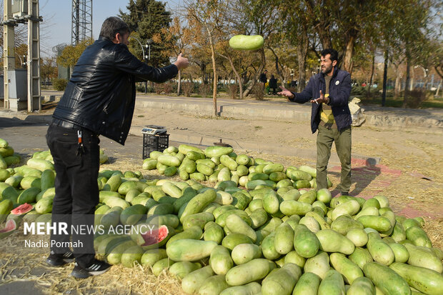 حال و هوای شب یلدا البرز