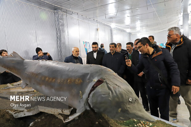 افتتاح موزه ملی ماهیان خاویار در جزیره آشوراده