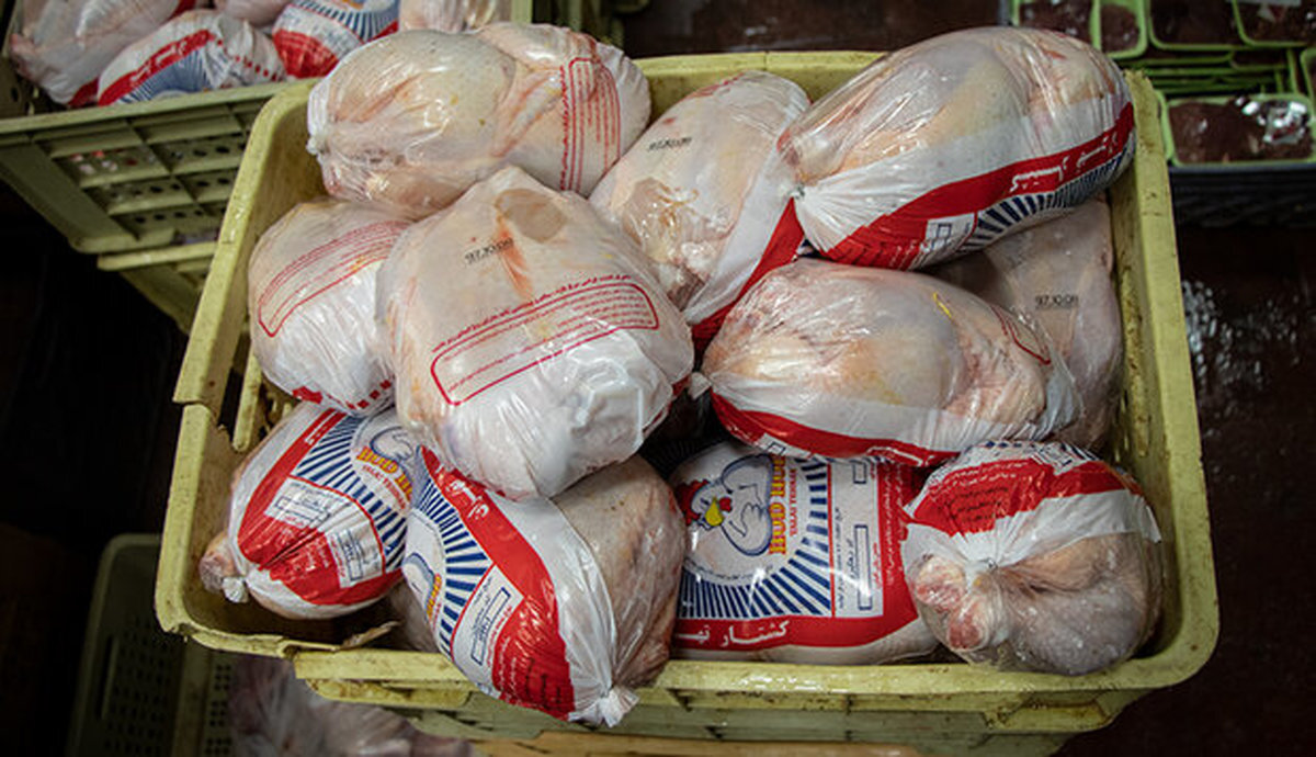 قیمت مرغ در قزوین بالاتر از نرخ مصوب کشوری است