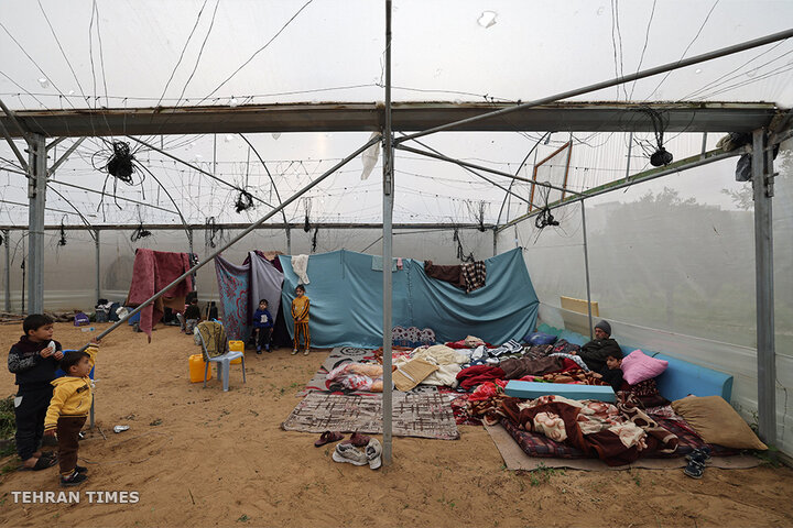 Entire Gaza at ‘risk of famine’ as fighting rages between Israel, Hamas