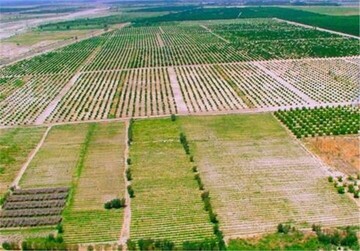 رفع تداخل ۱۰۰ درصدی پلاک‌های اراضی کشاورزی رزن