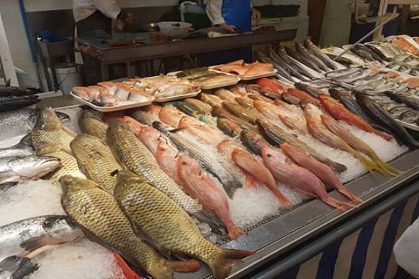 میانگین مصرف ماهی در لرستان پایین‌تر از میانگین کشور است