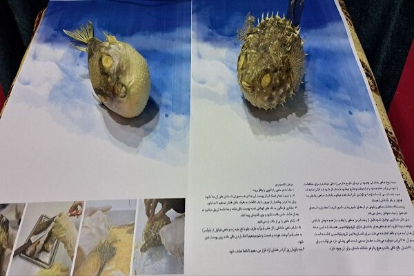 حرکت دانشجویان انجمنهای علمی به سمت «علمی» و «کاربردی شدن»