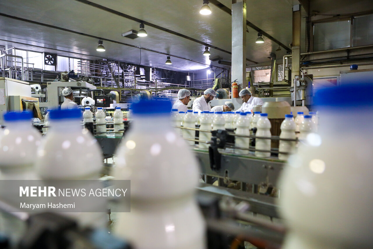 لزوم راهاندازی شبکه جامع حلال در کشور – خبرگزاری مهر | اخبار ایران و جهان لزوم راهاندازی شبکه جامع حلال در کشور – خبرگزاری مهر | اخبار ایران و جهان