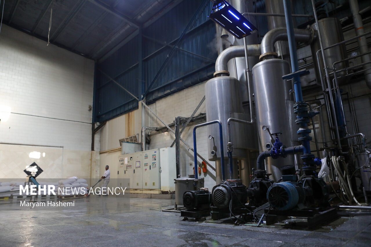 نبض تولید می زند/ کارگران اسنپگرد شدند و کارخانهها نیروگرد