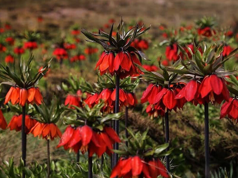 آشنایی با جاذبه های اطراف اصفهان