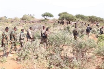 30 al-Shabaab terrorists killed in military op. in Somalia