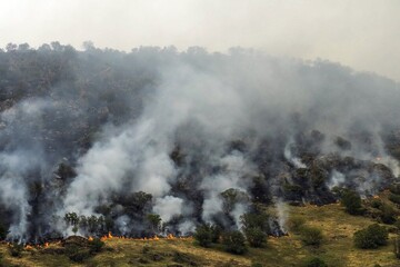 هشدار نسبت به آتش سوزی جنگل‌ها در مازندران