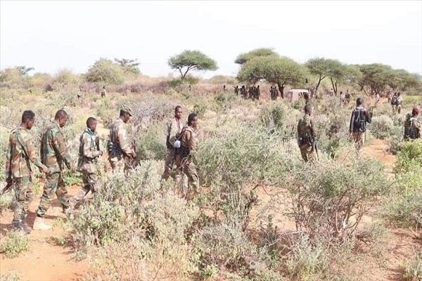 30 al-Shabaab terrorists killed in military op. in Somalia 