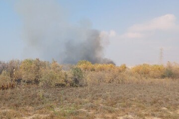 آتش‌سوزی در روستای «چاه شور» گناوه مهار شد