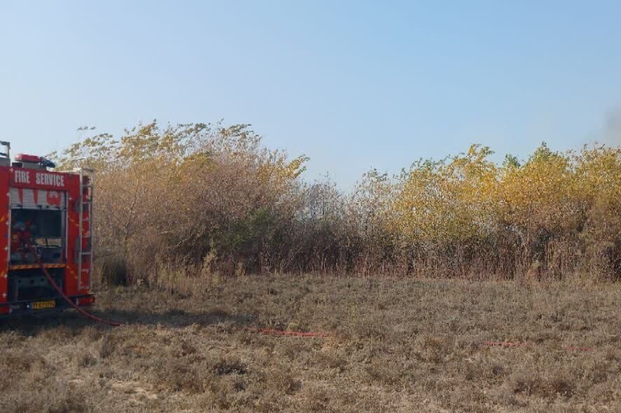 آتش‌سوزی در روستای «چاه شور» گناوه مهار شد