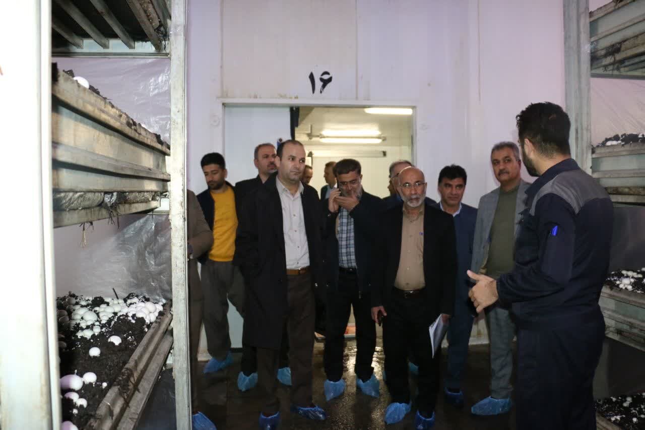 حضور مدیران صنایع تبدیلی منطقه4 کشوری ازپروژههای کشاورزی کردستان