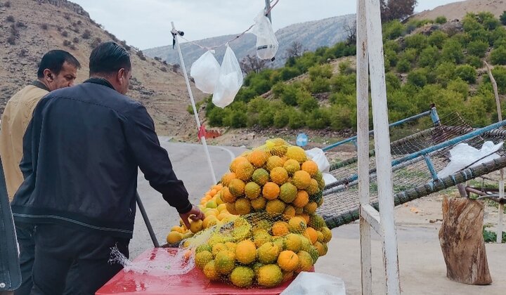 عبور در قلب کوههای زاگرس/ زمزمه مهاجرت ۴٠٠ روستا رنگ میبازد