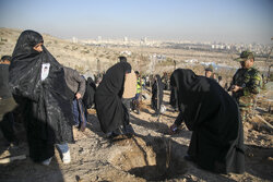 Planting trees by martyrs mothers in Mashhad