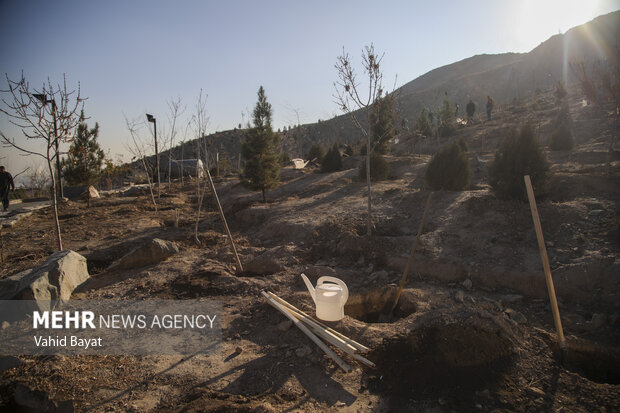 Planting trees by martyrs mothers in Mashhad
