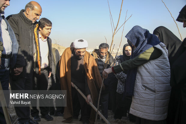 Planting trees by martyrs mothers in Mashhad
