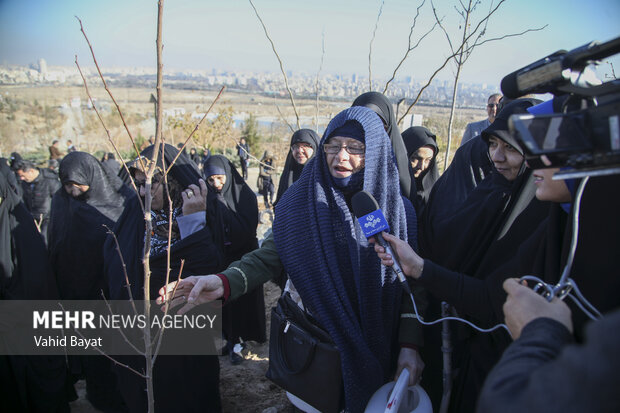 Planting trees by martyrs mothers in Mashhad
