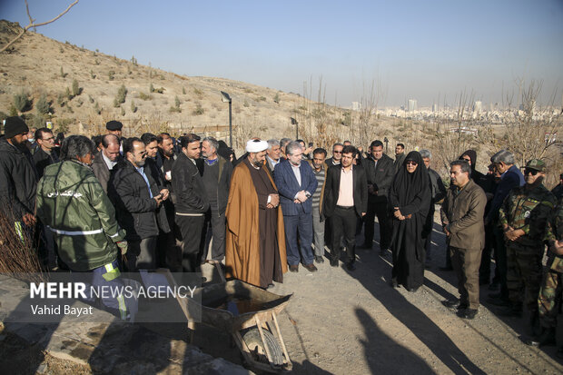 Planting trees by martyrs mothers in Mashhad
