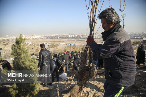 Planting trees by martyrs mothers in Mashhad
