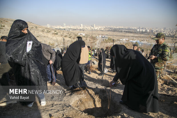 Planting trees by martyrs mothers in Mashhad
