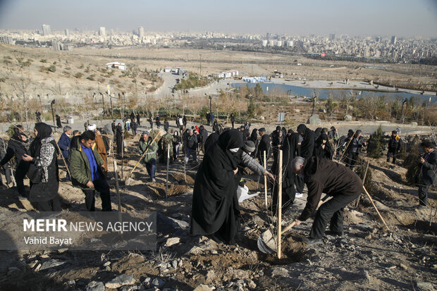 Planting trees by martyrs mothers in Mashhad
