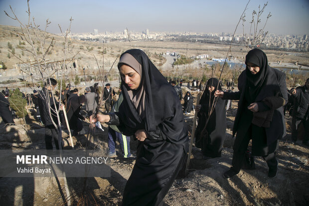 Planting trees by martyrs mothers in Mashhad
